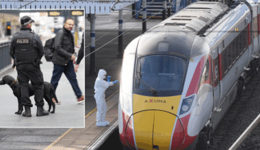 Britain's 'lawless' rail networks under threat as police warned security cuts have 'gone too far'