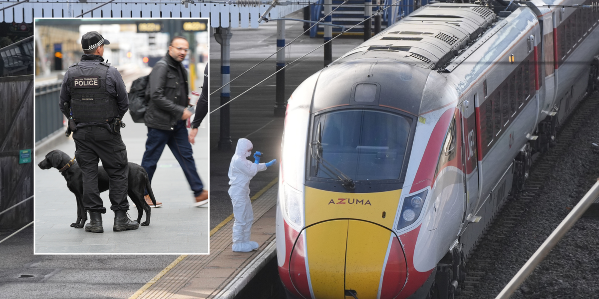 Britain's 'lawless' rail networks under threat as police warned security cuts have 'gone too far'