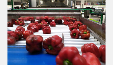 Citrosol to host postharvest and technology innovation symposium in Almeria, Spain on November 13th