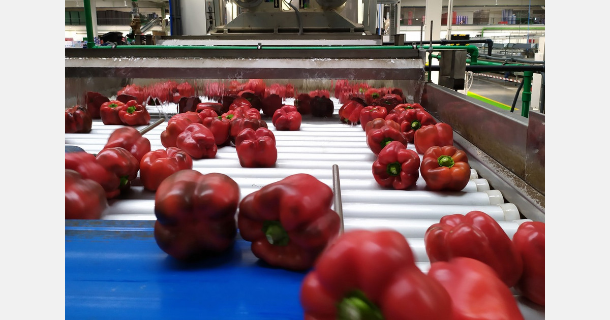 Citrosol to host postharvest and technology innovation symposium in Almeria, Spain on November 13th