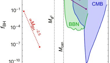 Within a second after the Big Bang, particle interactions may have created black holes, boson stars and cannibal stars