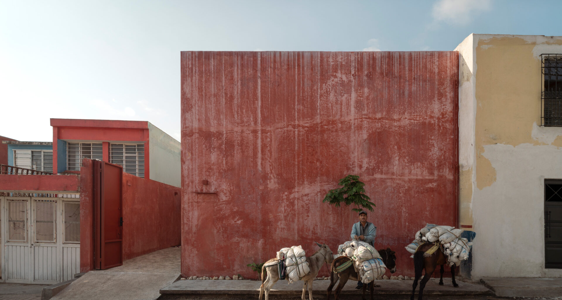 Alicia House / ALTOVA | ArchDaily