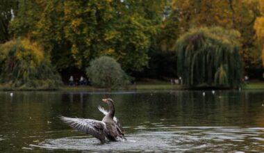 Manchester Evening News