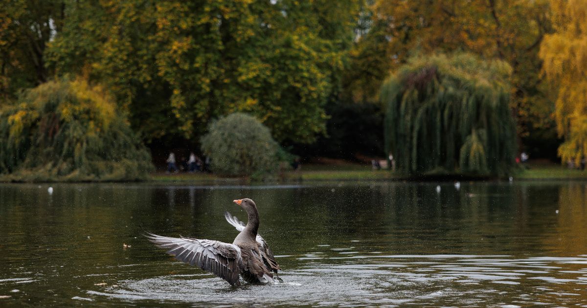 Manchester Evening News