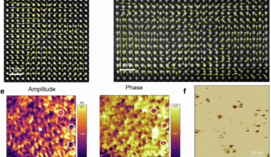 Harness of room-temperature polar skyrmion bag in oxide superlattice