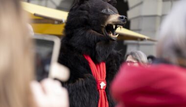 Bernese carnival bear sent into hibernation