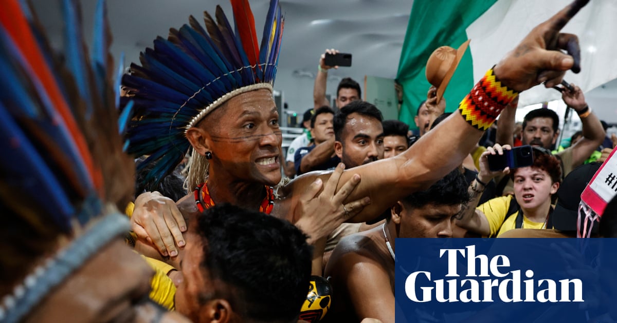 Tussles break out between protesters and security at Cop30 in Brazil | Cop30