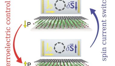 Electrical control of spin currents in graphene via ferroelectric switching achieved