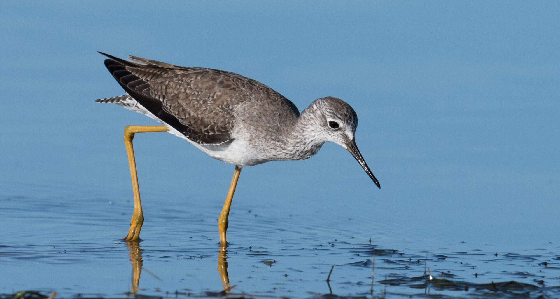 Humans have sensitive hands; solar system travels 3 times faster than predicted