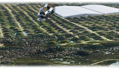 Cosmic ray puzzle resolved as scientists link 'knee' formation to black holes