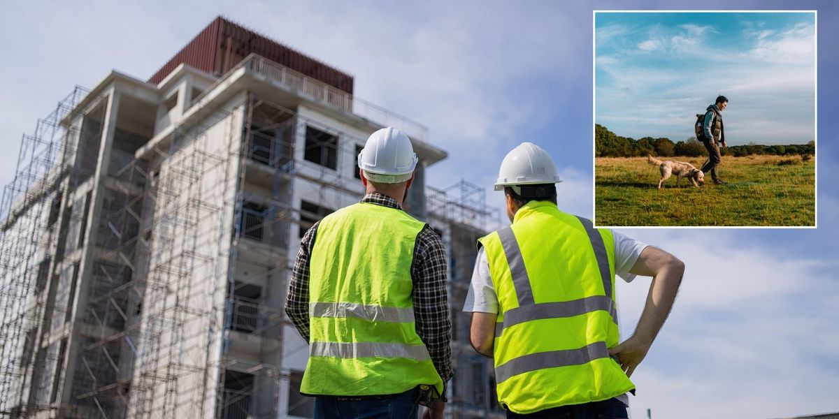 MPs challenged over claims nature is blocking Britain's housing growth