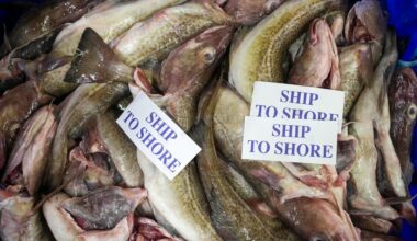 Government issued warned over flagship post-Brexit fisheries law