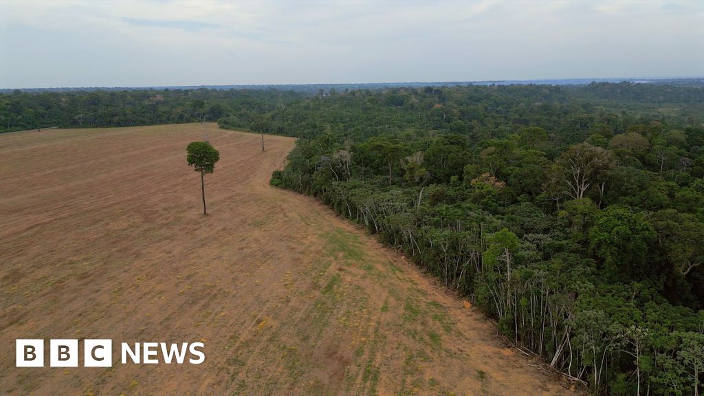Brazil's Amazon rainforest at risk as key protection under threat