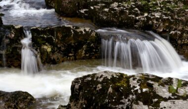 Manchester Evening News