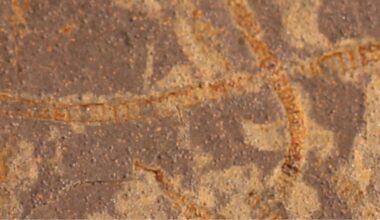 Earth's earliest life 3.3 billion years ago revealed by faint biosignatures