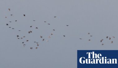 One of the oddest UN resolutions in history seeks to solidify shaky Gaza ceasefire into an enduring peace | Gaza