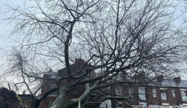 Manchester Evening News