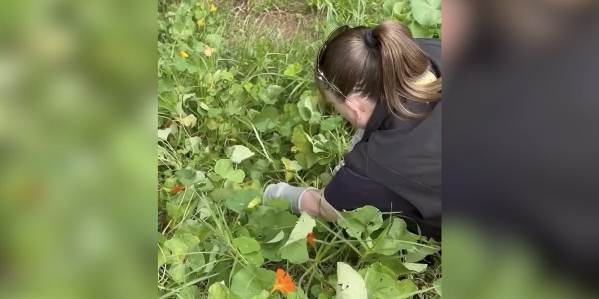 Woman Hears 'Crying' In Flower Patch And Finds Wild Baby Who Fell From The Sky