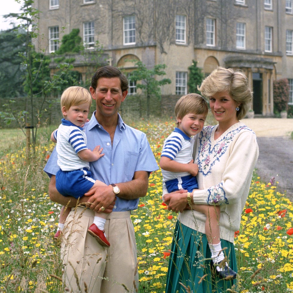 Shocking claims made in the new Dianarama book shocking claims made in the new dianarama book