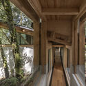 © Camila Cossio House in the Forest / Vasconcelos Arquitectura + Espacio Tangible - Image 4 of 27