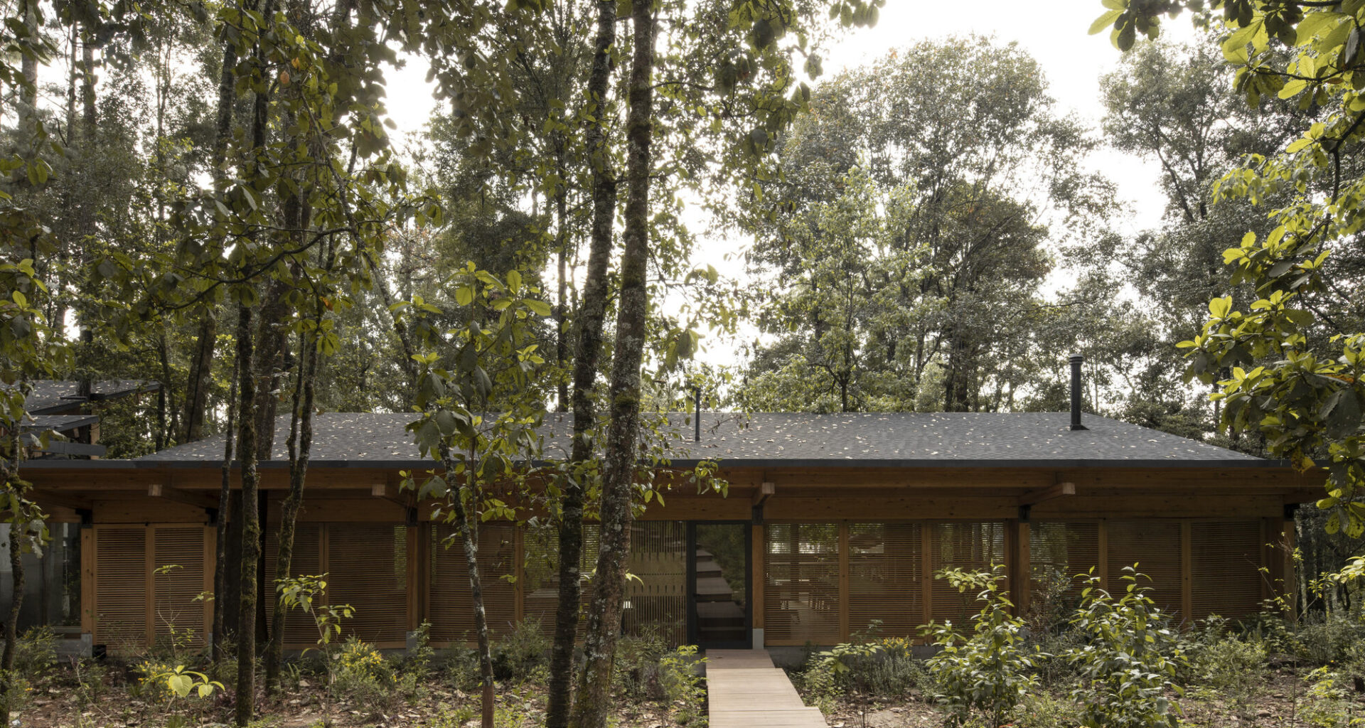 House in the Forest / Vasconcelos Arquitectura + Espacio Tangible