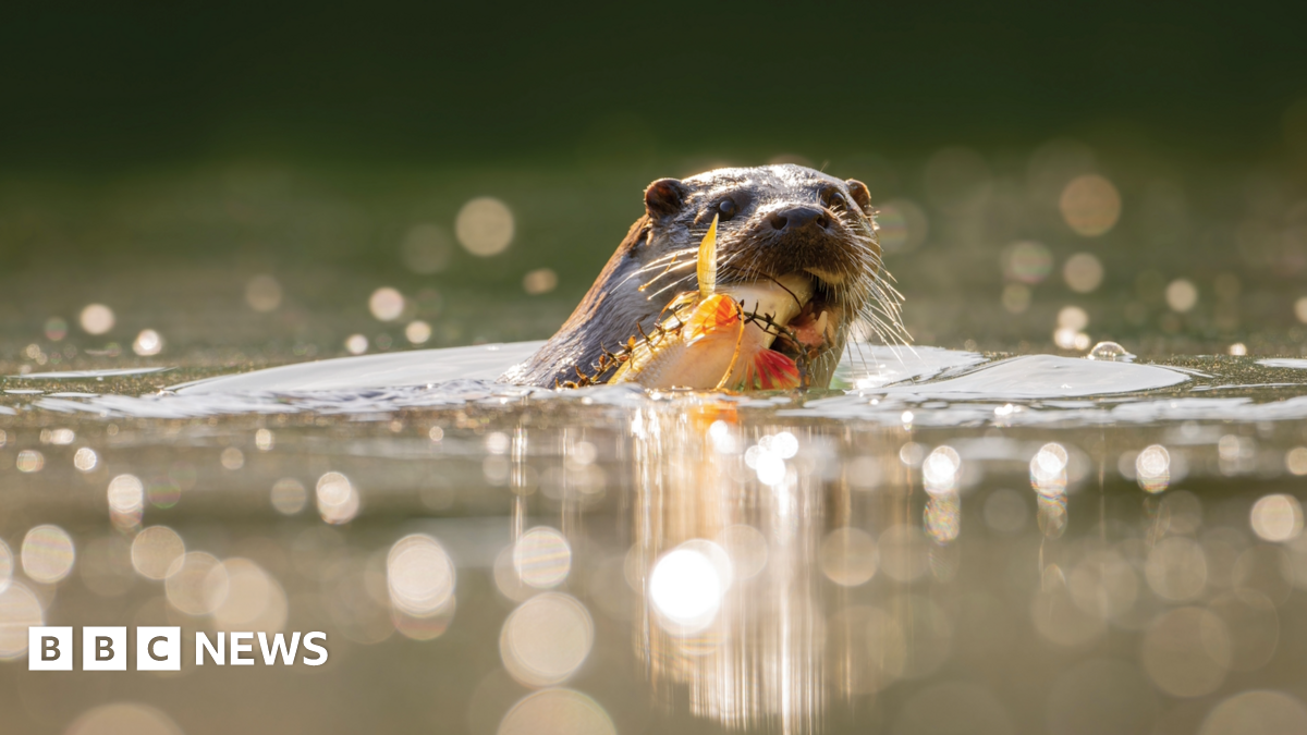 Family having a moment together messing about while winter sea swimming