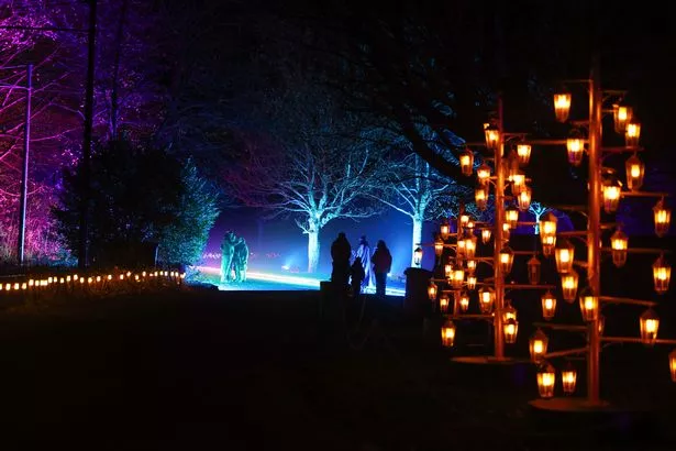Lantern Trees