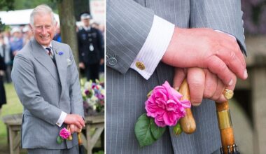 Doctor speculates over the cause of King Charles' swollen 'sausage fingers'
