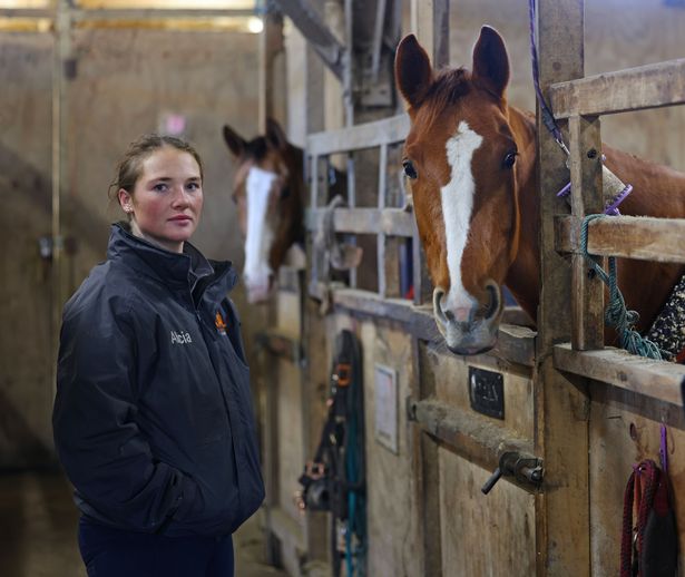 Alicia Ball at her horse school in Rainford looking for a new home after eviction notice. 