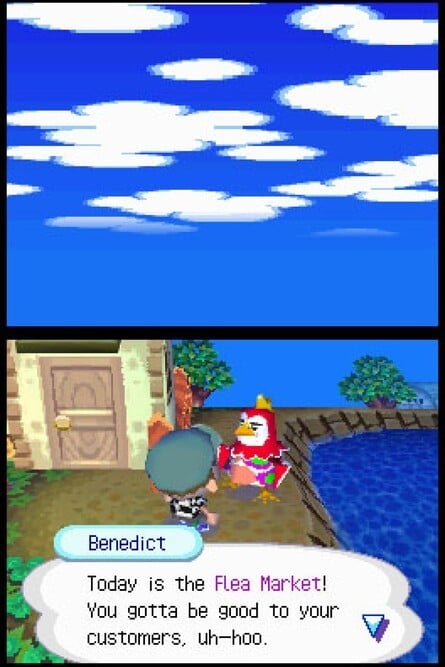 Animal Crossing: Wild World