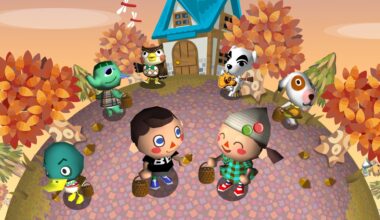 20 Years After Settling On DS, Do You Still Play Animal Crossing: Wild World?