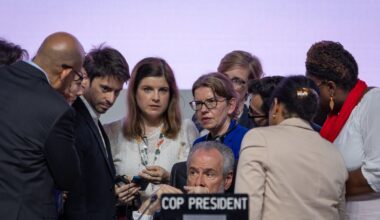 Pic: UN Climate Change/Kiara Worth