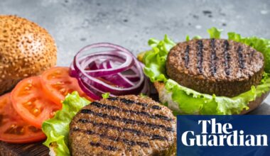 Ban on veggie ‘burgers’: plant-based products may lose meaty names in UK under EU law | Food & drink industry