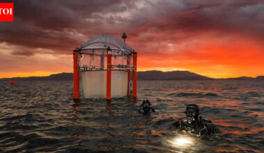 Oceans in danger! EU warns ocean carbon removal once seen as a ‘miracle climate cure’ may turn into a global threat | World News