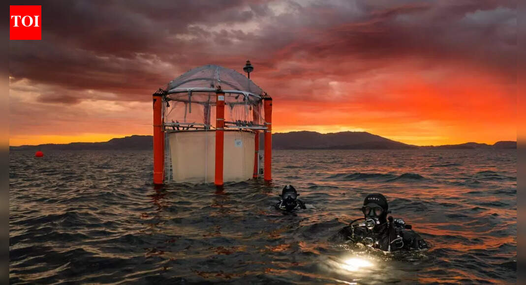 Oceans in danger! EU warns ocean carbon removal once seen as a ‘miracle climate cure’ may turn into a global threat | World News