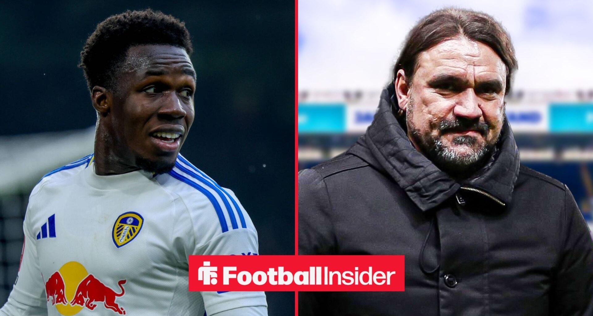 Leeds 'plan to accept Wilfried Gnonto offer' after Daniel Farke green light