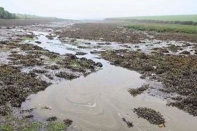 NI Water chief warns cold water swimmers in Warrenpoint to avoid discharge area