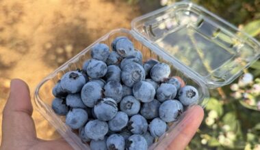 Tropical Blue sets early pace in Spain and Morocco | News