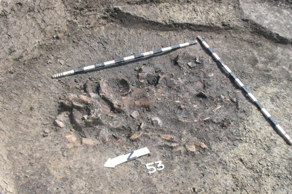 The surprising things ancient rubbish can tell us about our ancestors