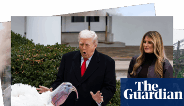 Trump pardons Gobble and stranded beluga whales: photos of the day – Wednesday - The Guardian