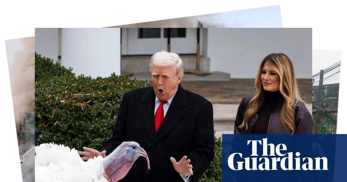 Trump pardons Gobble and stranded beluga whales: photos of the day – Wednesday - The Guardian
