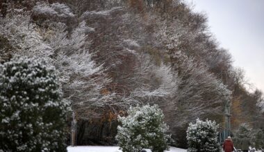 Manchester Evening News