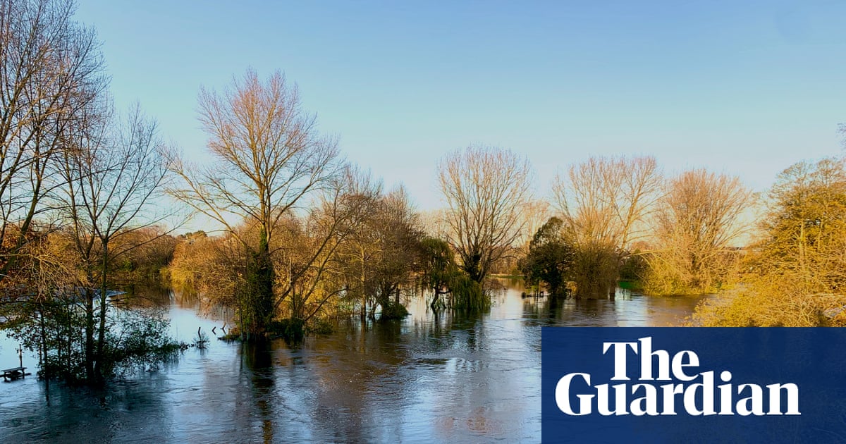 Country diary: The river has risen to meet the trees. This is Storm Claudia’s work | Flooding
