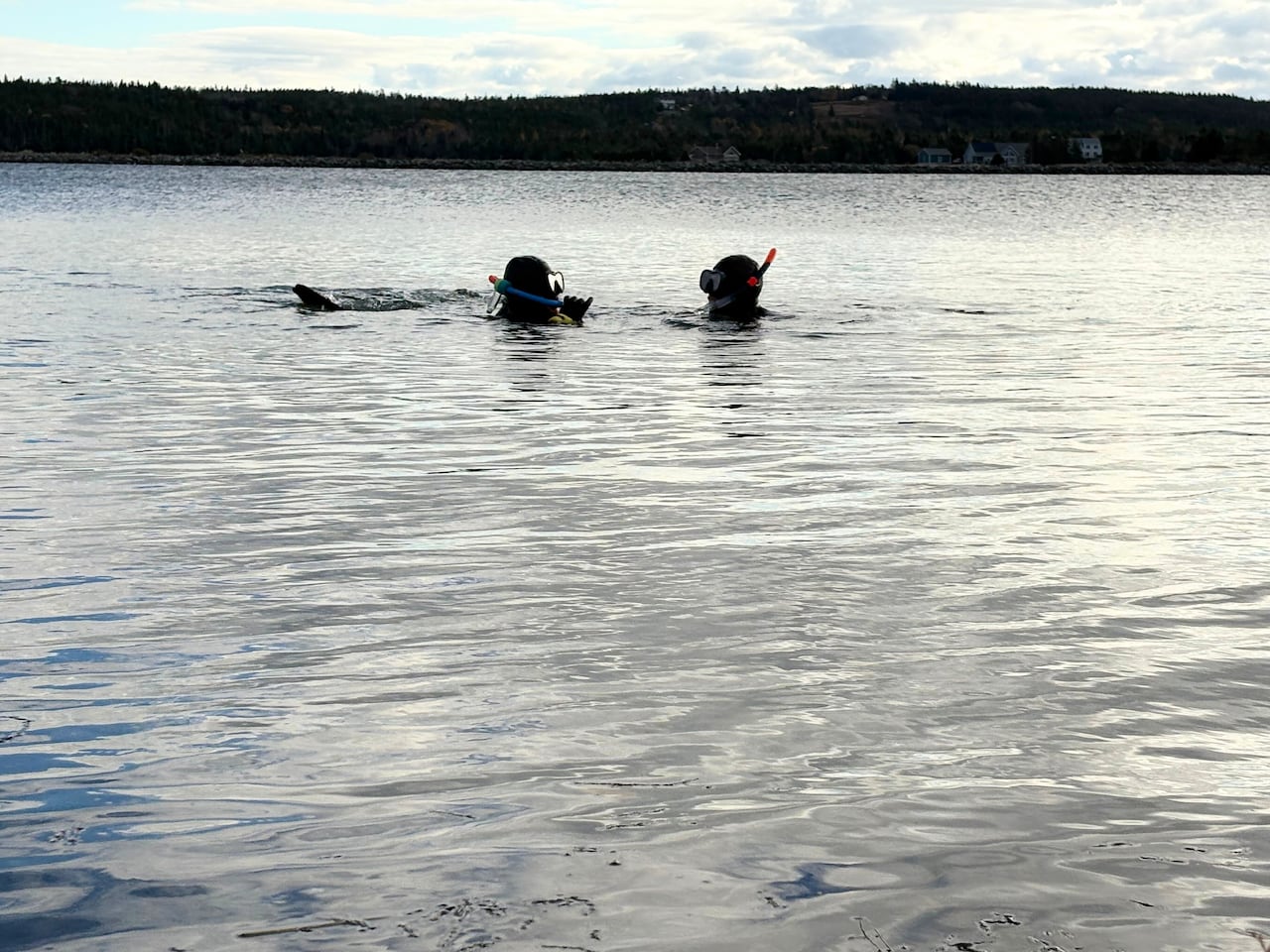 Two snorkellers chat in the water