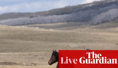 Australia news live: brumby law change ‘puts science above politics’; Dreyfus given human rights role seven months after ejection from cabinet | Australia news