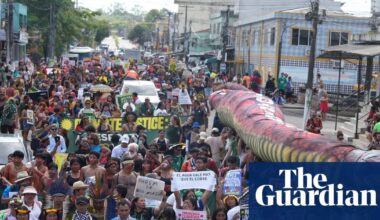 Beyond the negative headlines, some truly good things came out of Cop30 | Environment