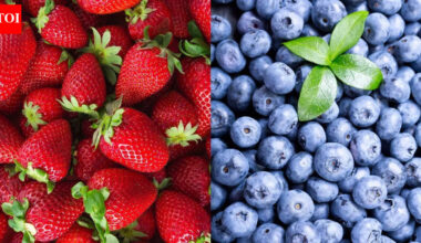 Strawberry vs blueberry: Which berry supports nutrition and overall health |