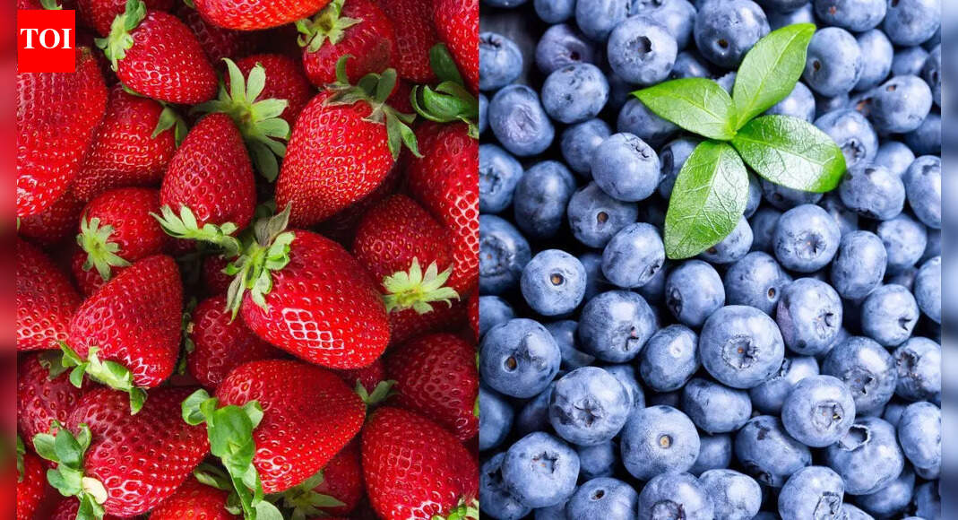 Strawberry vs blueberry: Which berry supports nutrition and overall health |