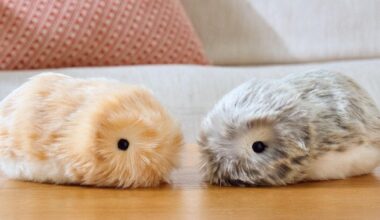 Meet Casio’s AI-Enabled Pet, Moflin