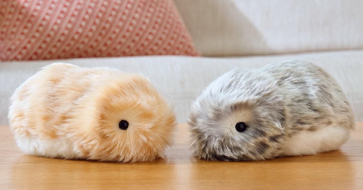 Meet Casio’s AI-Enabled Pet, Moflin